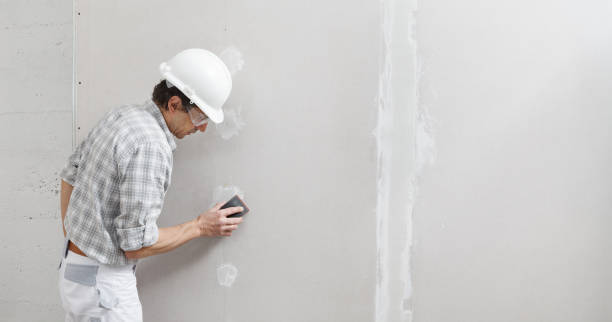 Best Drywall Texturing  in Harlingen, TX